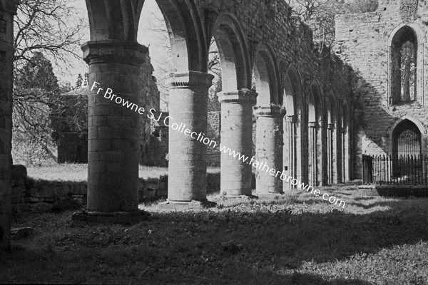 IN THE ABBEY ARCHES